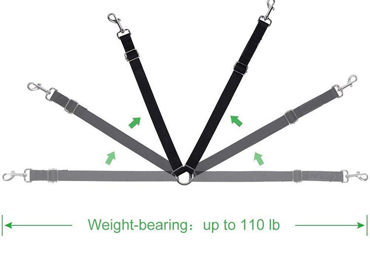 Multipurpose Dual Headed Dog Leash for Pets