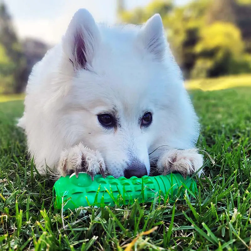 Crocodile Teeth Cleaning Interactive Bite-resistant Dog Toy
