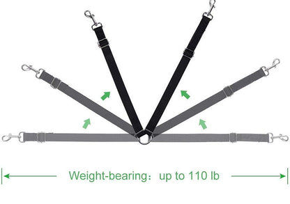 Multipurpose Dual Headed Dog Leash for Pets