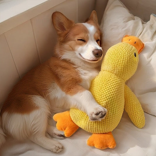 Dog Toy Plush Sleeping Duck