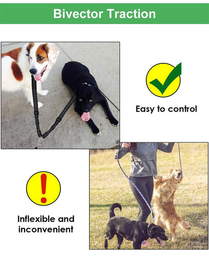 Multipurpose Dual Headed Dog Leash for Pets